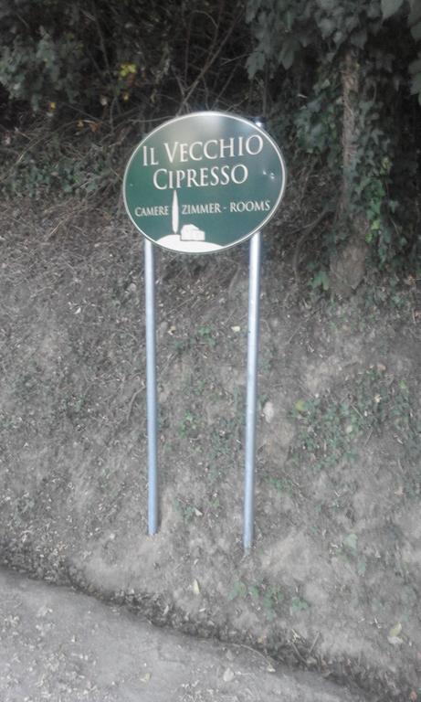 דירות סן ג'ימיניאנו Il Vecchio Cipresso מראה חיצוני תמונה